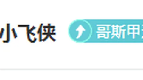 亞特蘭大中場佩西納技術特色剖析