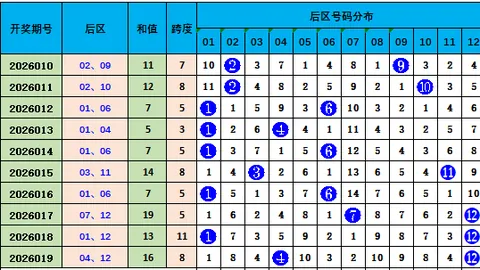 福彩3D26051期藏机图深度解析，一图胆码