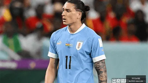 今日战绩盘点bet365：一胜一负，明日挑战再启